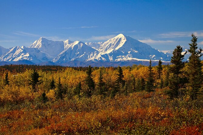 Shared Fairbanks to Denali National Park Entrance Transport - Departure and Arrival Details for a Smooth Trip