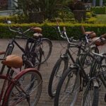 Shared Santa Maria Del Tule Bike Tour - Santa Maria del Tule’s Markets and Local Flavors