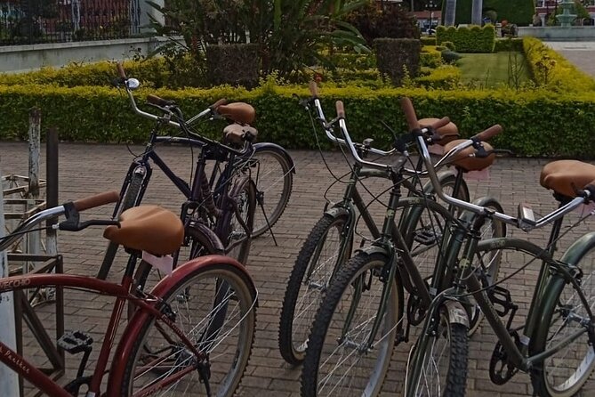 Shared Santa Maria Del Tule Bike Tour - Santa Maria del Tule’s Markets and Local Flavors