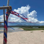Shark Island: Tour of the largest island in Mexico - Exploring Punta Chueca and the Comcaac Community