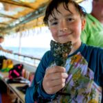 Shark Tooth Snorkeling Adventure and Huka Dive in Venice Florida - Starting Point at Nokomis Boat Ramp and the Tour Schedule