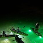 Sharkey's Glass Bottom Fish Feeding LED Night Tour in Clearwater - The Fish Feeding Experience at Night