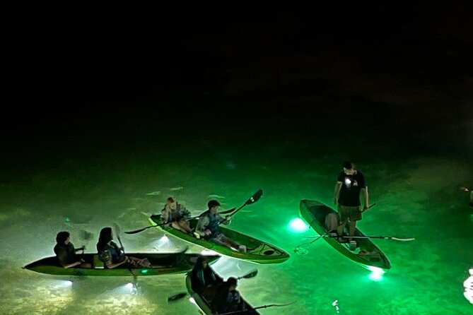Sharkey's Glass Bottom Fish Feeding LED Night Tour in Clearwater - The Fish Feeding Experience at Night