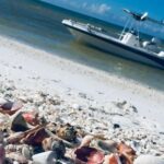 Shelling Tours - Fort Myers Beach / Naples - Exploring Big Hickory Island: Shelling at Its Best
