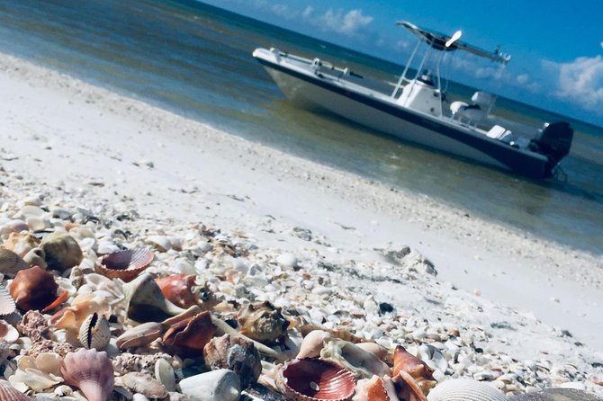 Shelling Tours - Fort Myers Beach / Naples - Exploring Big Hickory Island: Shelling at Its Best