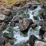 Shore Excursion: North Wales Adventure Sightseeing Day Trip from Liverpool - Exploring Castell Conwy: A Medieval Fortress and Its Bridge