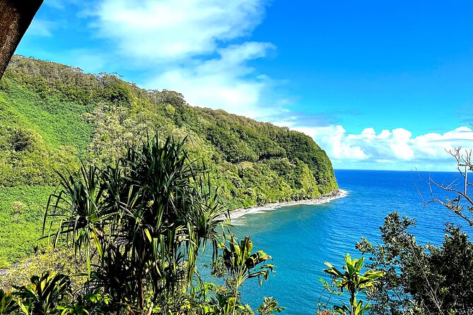 Shore Excursion of Maui - Rainforest Stops and Unique Hawaiian Trees