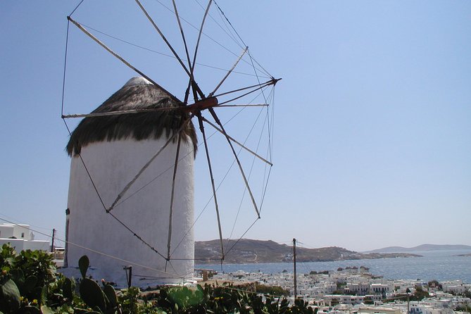 Shore Excursion Private - Starting at Mykonos Port for a Seamless Pickup