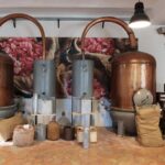 Shore excursion to Nice Grasse St Paul de Vence from Villefranche - The Charm of Nice: Côte dAzur’s Unofficial Capital