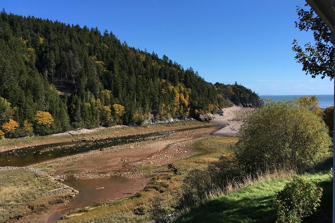 Shore Tours - Meeting Point and Tour Duration in Saint John