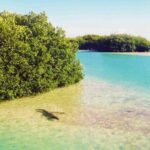 Sian Kaan Reserve Private Bike Tour - Scenic Ride Along Coastal Paths and Jungle Trails