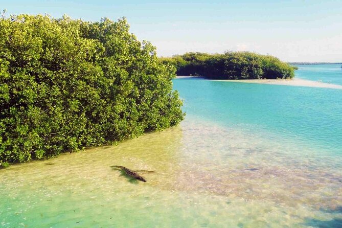 Sian Kaan Reserve Private Bike Tour - Scenic Ride Along Coastal Paths and Jungle Trails