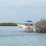 Sian Kaan Reserve Tour with Boat Trip and Maya Village Visit - Remarkably Remote Visit to Punta Allen