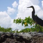 Sian Ka'an Tour (Private, Half Day) - Meet the Passionate, Knowledgeable Guides