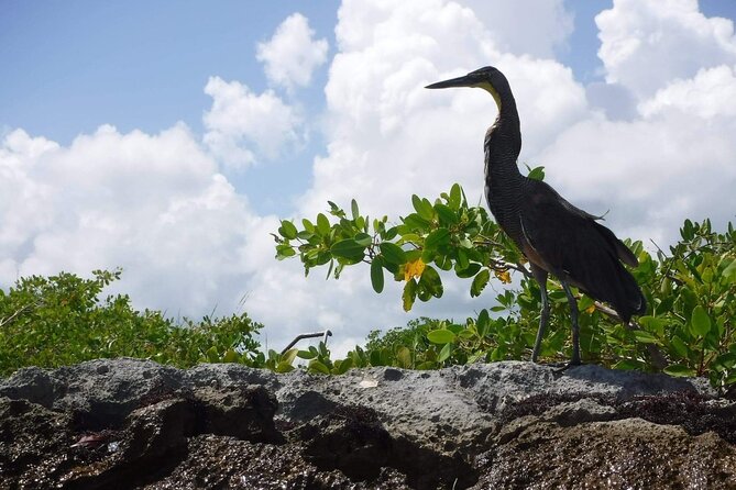 Sian Ka'an Tour (Private, Half Day) - Meet the Passionate, Knowledgeable Guides