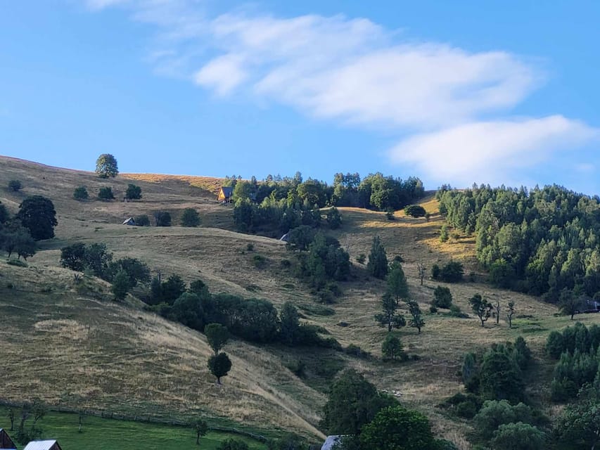 Sibiu: Cindrel Mountains Hike with Traditional Brunch - Scenic Journey Through the Cindrel Mountains