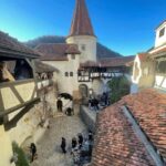 Sibiu: Dracula's Castle and Dino Park Day Trip - Key Points