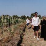 Sicilian Lunch with Wine Tasting - Wine Tasting: Four Mount Etna Wines Explored