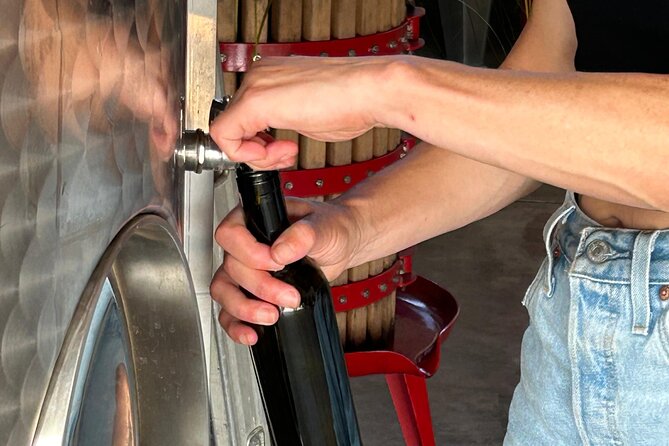 Sicilian Winery Experience in Alcamo - Exploring the Winemaking Process with the Guide