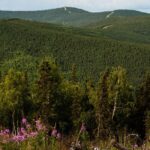 Side by Side Evening Tour - Drive a Modern Can-Am Maverick Trail Side-by-Side