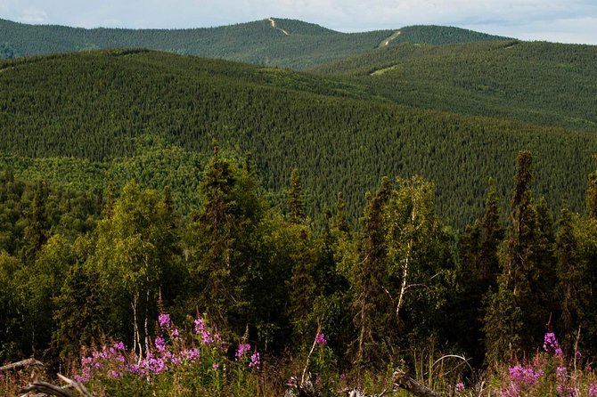 Side by Side Evening Tour - Drive a Modern Can-Am Maverick Trail Side-by-Side