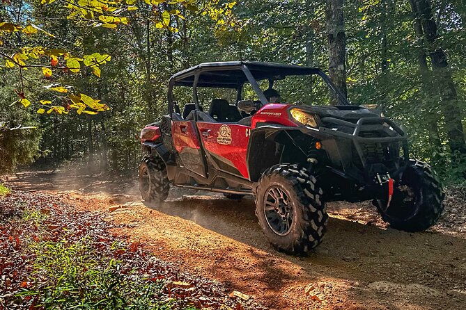 Side by Side Guided Adventure - 2 Hours Off Road Fun - What Makes the Off-Road Terrain Special