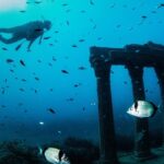 "Side: Scuba Diving in the Fascinating Underwater Museum" - The Tours Location in Side: Exploring the Underwater Museum