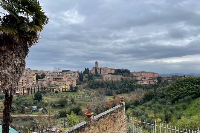 Siena Guided Tour with Cathedral and Optional Crypt & Museum - Exploring Piazza San Domenico and First Impressions