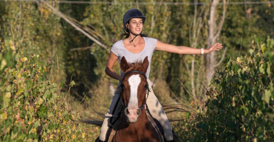 Siena: Horseback Adventure in the Tuscan Countryside - Scenic Route Through Vineyards and Olive Groves