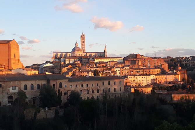 Siena walking tour with lunch & Chianti wine - Exploring Piazza San Domenico and the Basilica
