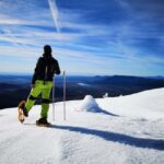 Sierra Nevada: Guided Snowshoe Tour - What the Snowshoeing Experience Entails