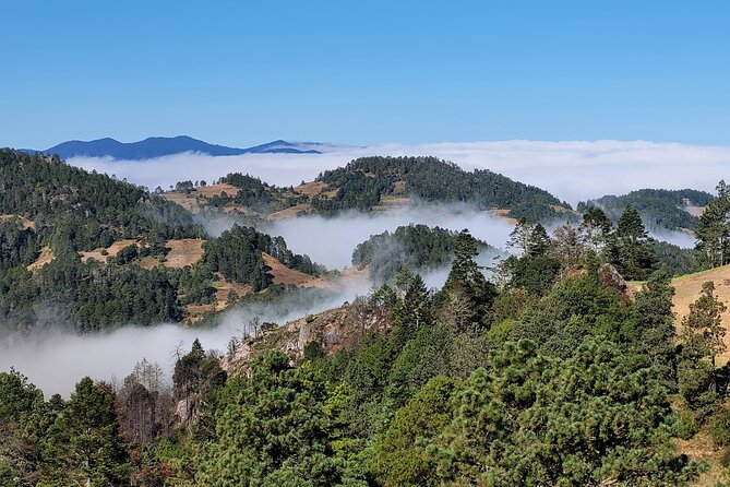 Sierra Norte Hike and Indigenous Village Full-Day Adventure - Crossing a Long Suspension Bridge at Cuajimoloyas