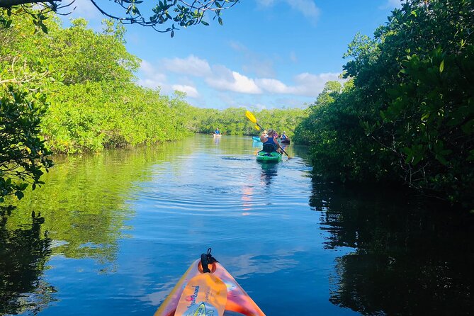 Siesta Key Guided Eco Tour - Starting Point at Sarasota’s Jim Neville Marine Preserve