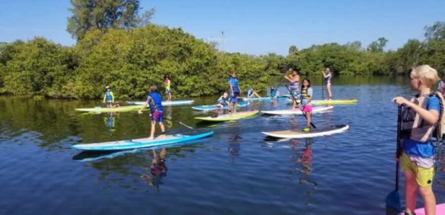 Siesta Key: Mangrove Kayak or Paddleboard Tour - Visiting the "Secret" Beach Only Accessible by Boat