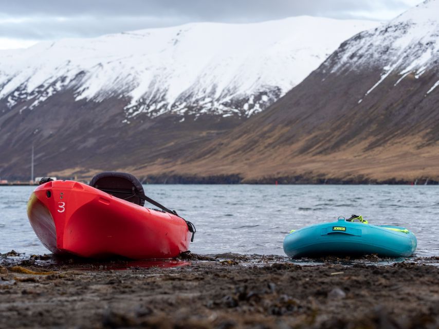 Siglufjörður / Siglufjordur: Guided kayak tour. - Starting Point at Siglo Sea HQ in Siglufjörður