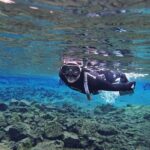 Silfra Night Freedive Tour - Meeting Point and Timing at Thingvellir National Park
