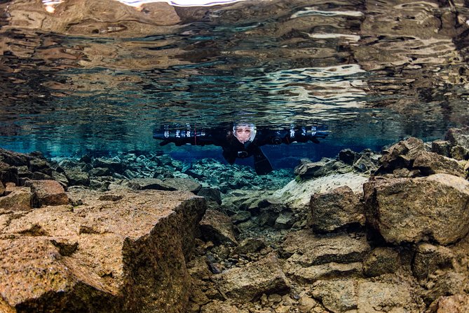 Silfra: Snorkeling Between Tectonic Plates Pick Up from Reykjavik - Small-Group Tour Experience with Personalized Guidance