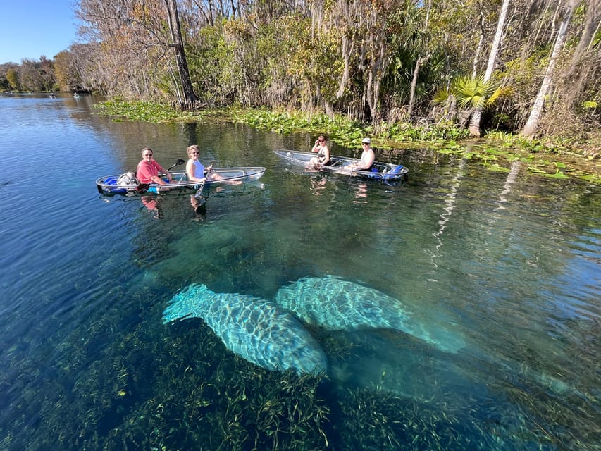 Silver Springs: Clear Kayak Manatee Season Tour - What to Expect from the Guided Nature Tour