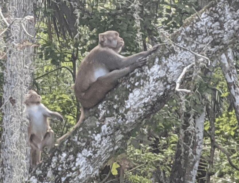 Silver Springs: Guided Clear Kayak or Paddleboard Gator Tour - Starting Point and Check-In at Silver Springs State Park