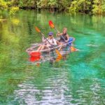 Silver Springs Jungle Kayaking and Paddleboarding - What Makes Silver Springs a Unique Paddle Destination