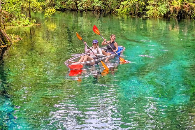 Silver Springs Jungle Kayaking and Paddleboarding - What Makes Silver Springs a Unique Paddle Destination