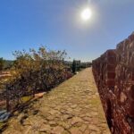 Silves and Monchique - Private - Visiting Silves: The Medieval Town and Imposing Castle