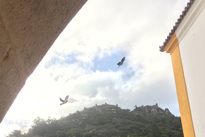 Sintra by heart - private Tour with train trip from Lisbon - The Guide’s Style and Personalization