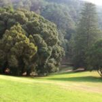 Sintra+ Cascais Gardens Full Day: Private Tour - Starting in Lisbon and Arriving in Sintra’s Liberdade Park