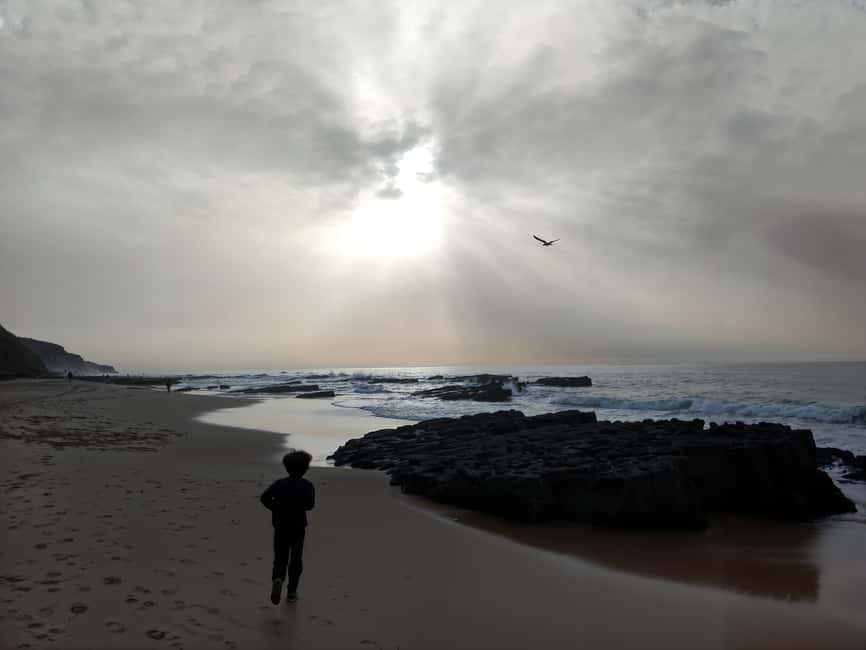 Sintra Tours: Wine & Nature 6h - From Cabo da Roca to the Rugged Atlantic Coast