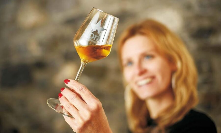 Sion: Sion Wine Tour - wine tasting and guided tour - Starting Point at the Office du Tourisme de Sion