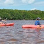 Sisal Mangroves & Beach Expedition from Merida - Exploring Sisal’s Lush Mangroves by Boat