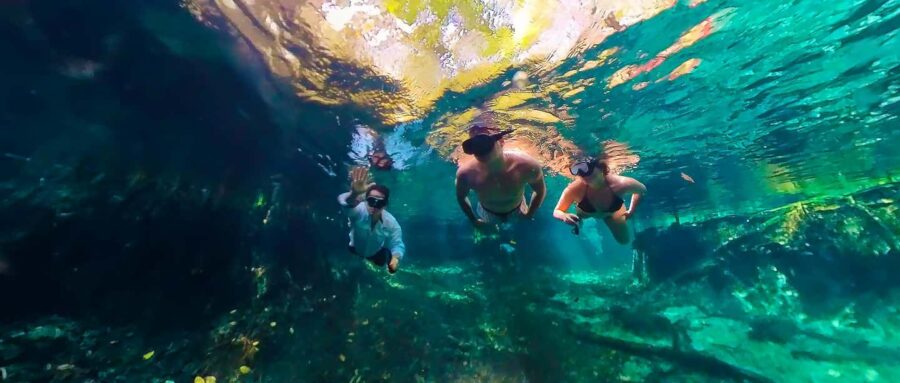 Sisal: Picnic PREMIUM en medio del mar y snorkel manantial - The Secret Spot for a Traditional Mayan Picnic in the Middle of the Sea