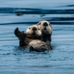 Sitka: Islands of Wonder Wildlife Adventure - The Fully Enclosed, Heated Boat for a Comfortable Ride