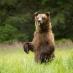 Sitka: Private Full Day Wildlife Boat Tour with Beach Lunch - Departure Point and Meeting Details